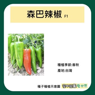 【臺灣出貨 電子發票】森巴辣椒種子 2粒 F1 菜籽 種子 辣椒 田園 植栽 種菜 種田 空中花園藝世界