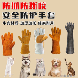 防狗咬手套 防護手套 防咬 防刺手套 防颳手套 訓狗手套 防守手套防貓狗咬抓手套防鬆鼠倉鼠眼鏡蛇防動物撕咬訓狗小寵物