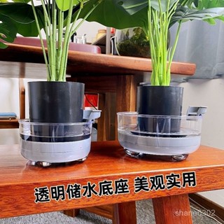 桃園快速🚚 可儲水託盤花盆底座底盤託塑膠花盆託盤花盆架底座多肉花盆墊底託