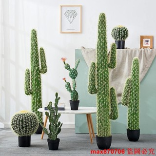 可開發票｛訂金價格}大型模擬仙人掌擺件植物客廳室內綠植裝飾落地仙人柱球型假盆栽