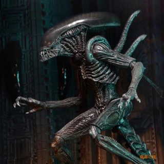 🍀鑫鑫百貨🍀NECA 異形大戰 鐵血戰士AVP異形Alien第7波黑異形7寸可動手辦模型