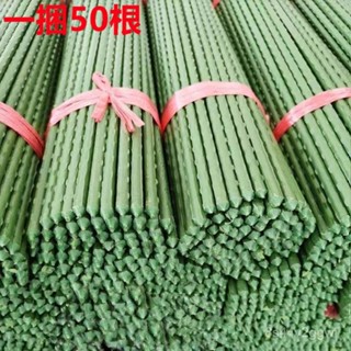 全網最低價🔥 50根包塑鋼管豆角支撐桿葡萄蔬菜攀爬架子爬藤架花架家用支架拱桿 爬藤架 種菜專用架子 花架 置物架 菜架