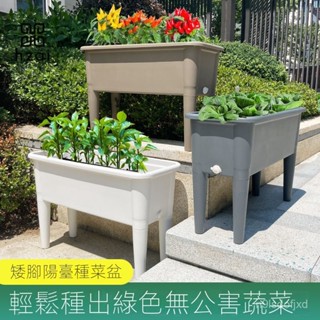 陽臺種植箱 新款 種植盆高腳長方形花盆 種植箱 飼養箱 蔬菜種植箱 特大種菜箱 長方形花盆 花盆
