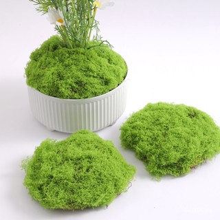 臺灣熱銷 模擬苔蘚跨境綠植裝飾造景人造青苔草坪DIY永生苔蘚盆栽鋪麵絲狀