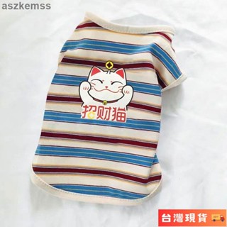 🌺臺灣限時低價🌺寵物貓咪狗狗衣服夏季薄款裝泰迪狗寵物狗小型幼犬背心透氣防曬服
