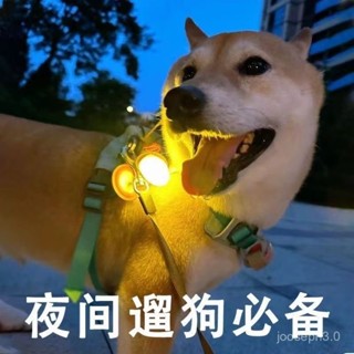 臺灣熱賣🔥寵物髮光吊墜led髮光閃光吊墜飾品寵物用品夜間遛狗神器狗狗吊墜 發光項圈 狗狗項圈 發光吊飾 寵物項鍊 寵物燈