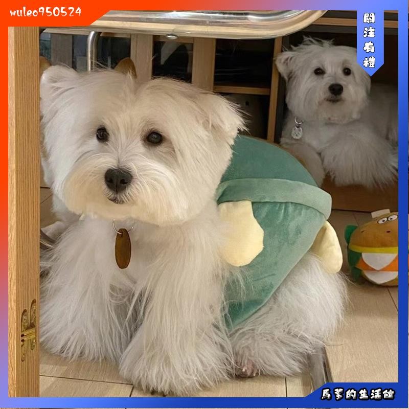 馬爹🦄狗狗烏龜殼衣服寵物秋冬款小型犬比熊泰迪博美西高地柯基烏龜裝