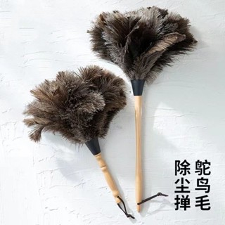 無紡布除塵撣 雞毛撢子 除塵撢子 清潔用品 靜電除塵 撢子雪尼爾伸縮除塵撢 雞毛撢子 灰塵撢 雞毛撢 乾濕兩用鴕鳥毛撣