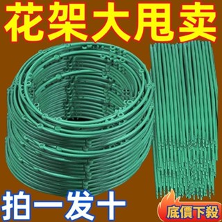 😲限時折扣😲植物支架 植物支撐 植物支撐桿 盆栽支撐架 盆栽支架 爬藤支架 花盆支架 蘭花支架 園藝支架 蝴蝶蘭