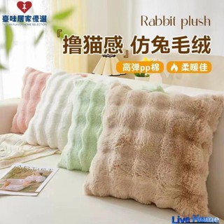 🏆拼全臺最低價🏆泡泡兔毛加厚柔軟客廳沙發抱枕 臥室床頭靠墊 飄窗靠枕毛絨背墊27X