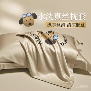 臺灣熱賣 【桃園出貨】【店鋪熱銷】冰絲枕套一對48cmx74cm家用絲枕頭套2025新款整套高階輕奢高檔