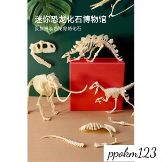 卡曼_恐龍化石考古挖掘玩具模擬骨架拼裝模型擺件兒童diy手工白堊紀6龍#模型#恐龍模型