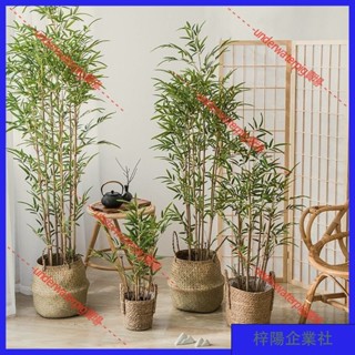 梓楊企業社🛒造景 裝飾花 仿真植物裝飾 模擬竹子落地假竹子模擬盆栽客廳新中式禪意擺件大型植物室內綠植 RVAJ