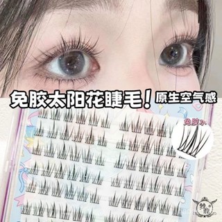 ♛【EC.Era】🔥免膠 太陽花假睫毛 無需膠水 新手超軟 自然模擬 卡哇伊