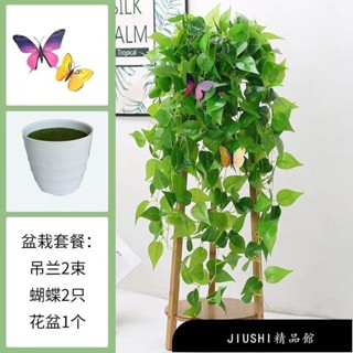 【精品館】模擬綠蘿壁掛 客廳綠植裝飾 垂吊塑膠假花藤條 室內植物綠葉藤蔓吊蘭盆栽 黃金葛過膠壁掛