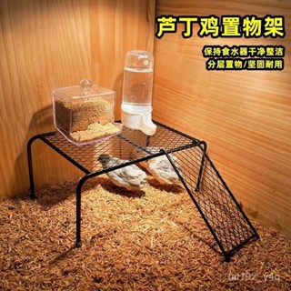 🐢 限時購 飼養箱造景 迷你雞 倉鼠 造景平臺 自動餵食器 食盒 爬梯 網格置物架子 置物平臺 DUW6