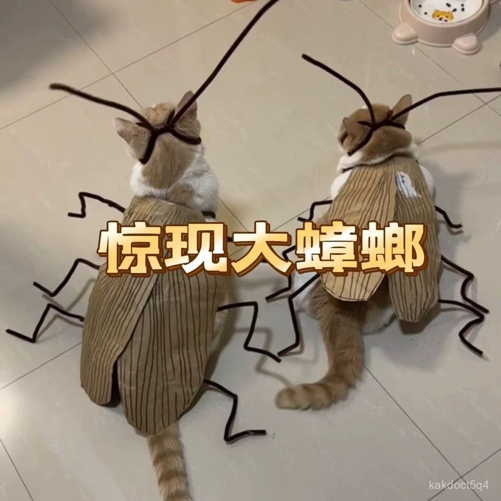 貓咪蟑螂服 貓咪衣服 貓咪蟑螂服純情蟑螂火辣辣條 紋手工diy貓咪衣服材料包 貓咪衣服材料包 網紅萌寵衣 貓咪 OMTF
