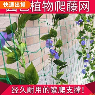 免運❤送綁繩多尺寸 超結實 植物爬藤網 家庭園藝用網 藤蔓搭架網 攀爬網 絲瓜網 苦瓜網 百香果網 栽培網