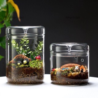 微型景觀花瓶堅固的透明展示玻璃容器用於陽臺高硼矽玻璃集露瓶生態瓶植物微景觀桌面盆栽辦公室玻璃微景觀生態瓶
