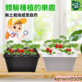 花盆 花箱 花槽 水培草莓生菜種植箱家庭智慧無土栽培蔬菜盆栽幼兒學生觀察種菜