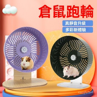 🔥DR新品🔥倉鼠跑輪 超靜音跑輪 24cm大號滾輪 金絲熊跑輪 倉鼠專用跑輪 小寵用品 轉輪玩具 籠子造景裝飾 9WI
