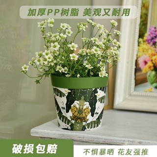 ✨免運✨下殺價🔥種植盆 種菜盆 收納箱 花信高顔值印花創意小眾花盆蘭花綠植套盆無孔北歐風叢林盆網紅花盆 花箱 種植箱