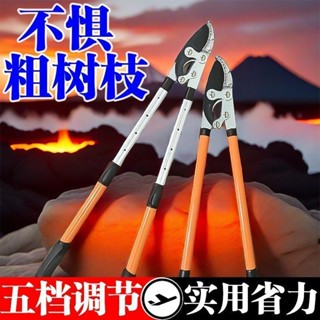 【限時下殺】長柄修枝剪樹枝剪刀園藝大剪果樹修枝修剪樹枝園林剪刀強力粗枝剪