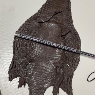 整張鱷魚肚皮料寬度30-35cm稀有皮革手工DIY表帶錢包皮鞋製作面料