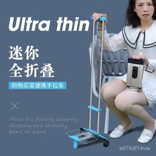 ⚡臺灣爆款⚡ 【店鋪熱銷】可折疊便攜手拉車購物買菜迷你小拉車超小家用拉貨拖車行李拉桿車2503 HVXI