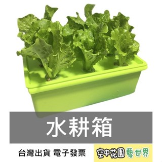 【臺灣出貨 電子發票】12孔水耕箱 贈送定植籃定植棉 水培箱 無土種植 家庭種菜 水耕蔬果 空中花園藝世界