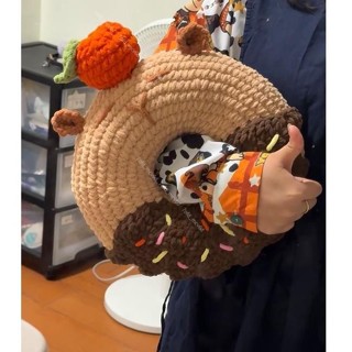 蝦皮優選卡皮巴拉水豚 手工藝 diy 材料包 甜甜圈抱枕 造型抱枕 冰條線粗毛線 手工編織包 鉤針毛線 交換禮物實用