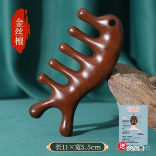 🔥臺灣發貨🔥【一週內500+人拚單】金絲檀木小海豚按摩梳子頭部經絡按摩器防脫髮疏通經絡養生多功能