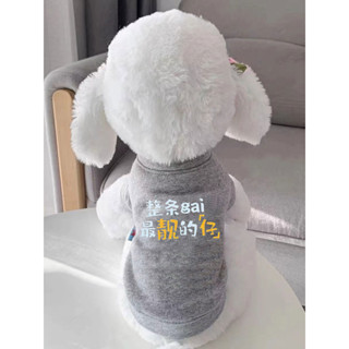 🐱貓咪衣服貴賓雪納瑞比熊約克夏衣服【91%好評率】新款狗狗衣服貓咪衣服春秋冬季泰迪博美比熊小型犬貓小狗寵物衣服