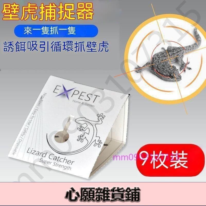 臺灣出貨 特賣壁虎神器 室內驅壁虎戶外壁虎神器 蟑螂屋 捉壁虎 捉蟑螂 壁虎粘 壁虎貼 蟑螂粘 壁虎驅趕 傢用無毒 防壁