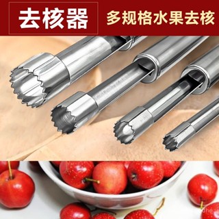🔥限時特賣🔥新款去核器廚房用品棗核水果去籽神器工具不銹鋼糖葫蘆山楂去核器