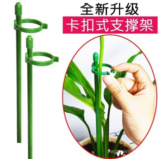 園藝支撐桿花架固定器蝴蝶蘭花支架桿硃頂紅繡球植物支撐架倒伏植物支撐架 盆栽支架 植物花架 植物支架 植物支撐桿 園藝支架