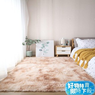 ⚡臺灣熱賣⚡地毯 地毯臥室 ins 風 地毯客廳 地毯臥室 美式 地毯地墊 地毯 臥室 大面積 珊瑚絨地毯 長毛絨地毯