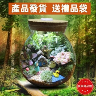 生態瓶創意夜燈 手工diy植物玻璃盆栽 景觀瓶 園藝 花盆花器 苔蘚微景觀生態瓶 小品盆栽 交換禮物 辦公室盆栽生日禮物