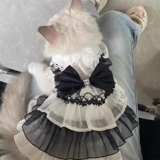 寵物衣服 寵物背心 寵物裝扮cosplay 夏季 薄款 透氣衣服 寵物衣服泰迪裙子約克夏比熊博美狗狗衣服兔子貓咪衣服裙