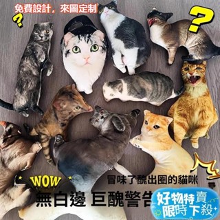 ⚡臺灣熱賣⚡客製化抱枕 貓咪抱枕 寵物抱枕 醜貓抱枕 客製化娃娃 異形公仔玩偶 靠枕 午睡枕 趴睡枕 寵物客製 交換禮物