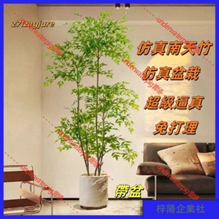 梓楊企業社🛒仿真植物 南天竹 落地盆栽 室內 大型 仿生綠植 擺件 客廳輕奢 裝飾花假樹 塑膠花 假花 裝飾花 模擬