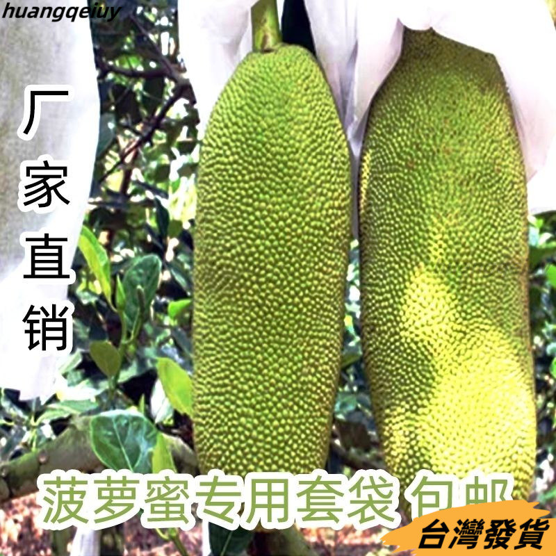 【優選好物】樹木菠蘿蜜防蟲袋木蘿蜜袋水果套袋110*60釐米兩頭通不帶繩子套袋 水果套袋 紗袋 雪紗袋 束口紗網袋 防蟲