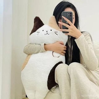 ✨臺灣 毛絨公仔 玩偶 抱枕 可愛貓咪玩偶毛絨玩具 辦公室睡覺抱枕靠墊布娃娃超軟公仔禮物女生