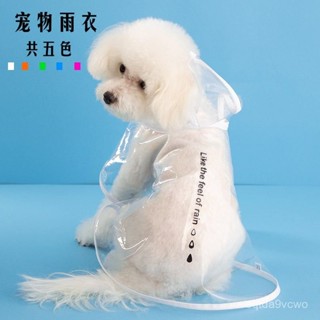 💯臺灣出貨💯免運💯新款網紅夏季寵物衣服狗狗雨衣泰迪博美中小型犬雨衣貓咪透明雨衣 STKE