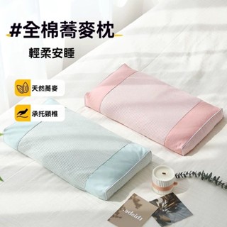 臺灣出貨 蕎麥枕頭 護頸枕頭 硬枕頭 護頸枕 脖子枕頭 蕎麥枕 牽引枕 枕頭 護頸 枕芯 低枕頭 側睡枕頭 止酣枕