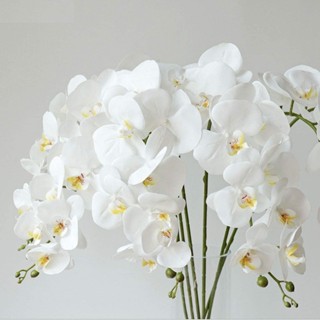 🚀限時特賣🚀9 頭蝴蝶蘭花人造花花束乳膠蘭花蝴蝶蘭 DIY 花瓶花束婚禮派對家居裝飾