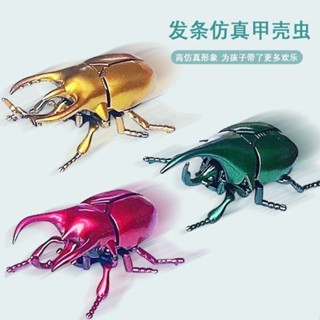 ✅最新款式💖發條會動甲蟲玩具模型兒童道具模擬上鏈昆蟲創意格鬥動物甲殼蟲