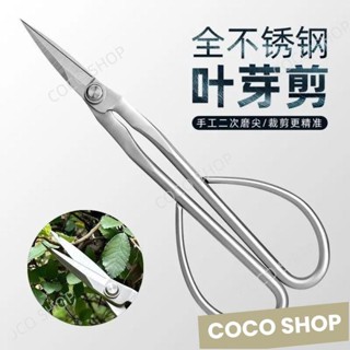 臺灣出貨 🎉全不鏽鋼園藝剪 葉芽剪 嫩芽剪刀 插花盆景枝葉剪 修枝小枝剪 加厚長杆
