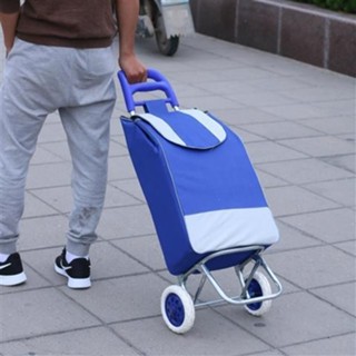 超市拖車 購物車 老人拖車 買菜車 輕便購物袋 手推拉桿 小推車 購物袋 旅行包 託運袋 菜籃車 可伸縮拉桿包