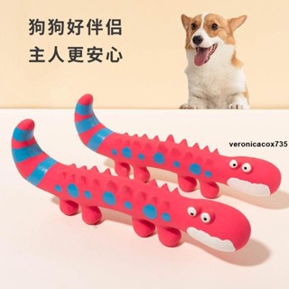 狗狗玩具🎀 發聲狗狗玩具耐咬寵物乳膠蜥蜴耐咬磨牙蜥蜴變色龍乳膠發聲狗玩具